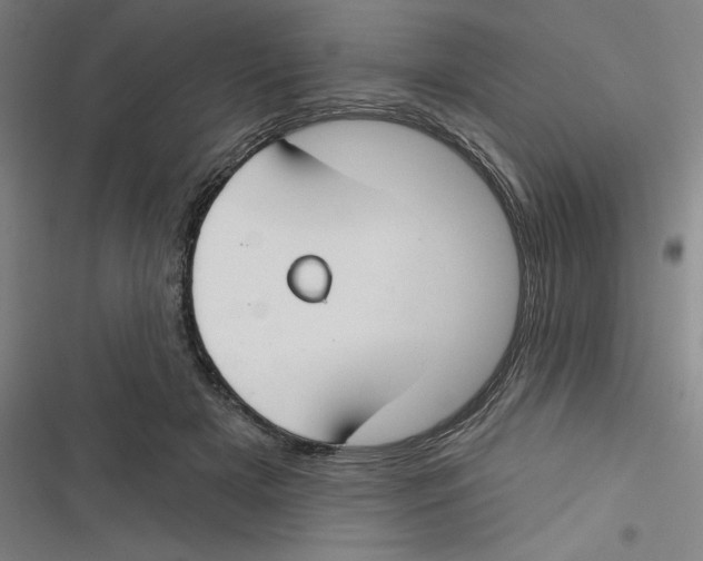 X0000116670505201001111314