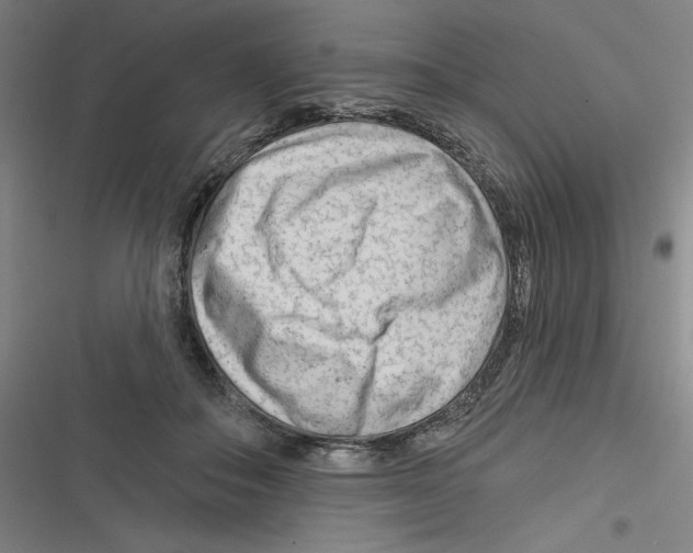 X0000116670506201001111314