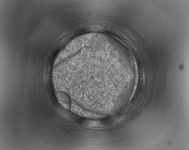 X0000116670507201001111314