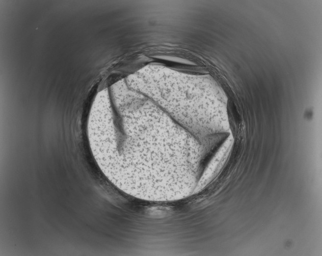 X0000116670508201001111314