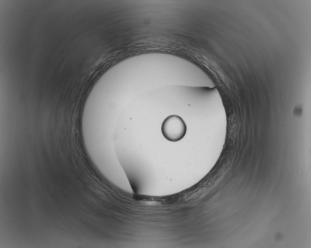 X0000116670509201001111314