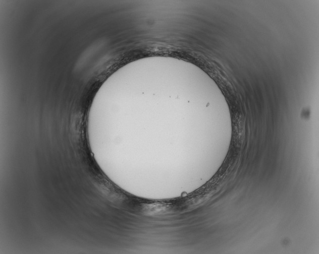 X0000116670511201001111313