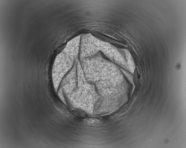 X0000116670512201001111313