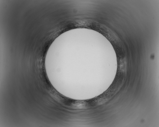 X0000116670514201001111313