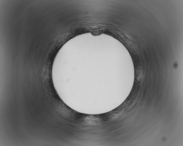 X0000116670515201001111313