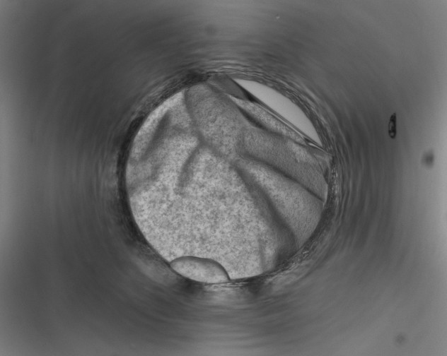 X0000116670516201001111313