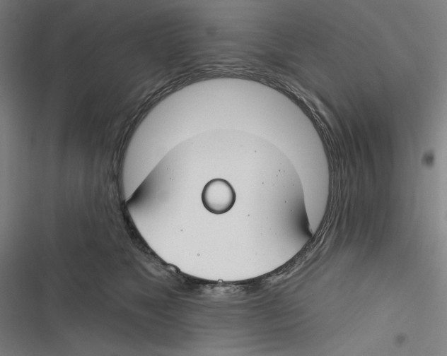 X0000116670517201001111313