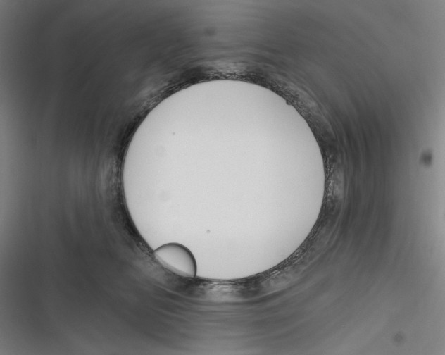 X0000116670518201001111313