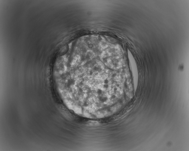 X0000116670519201001111313