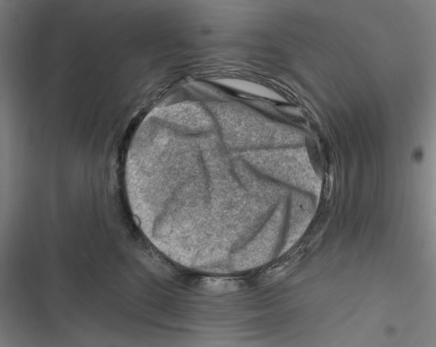 X0000116670520201001111313