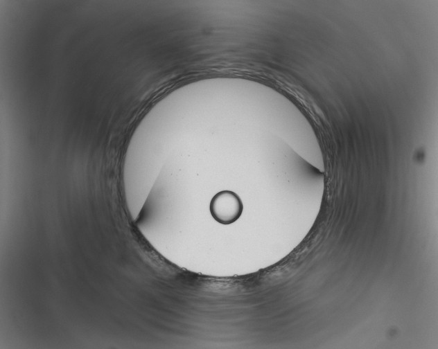 X0000116670521201001111313