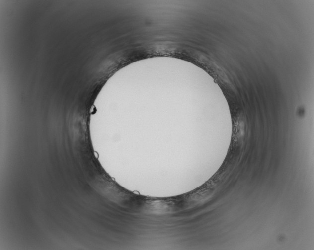 X0000116670522201001111313