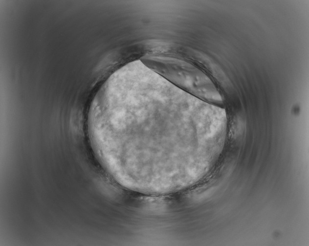 X0000116670524201001111313