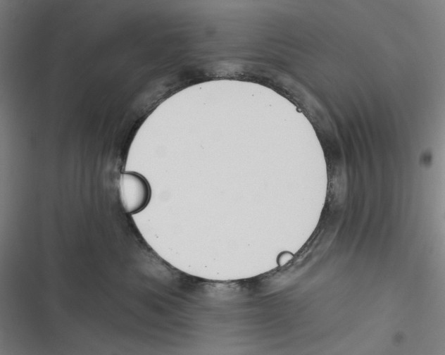 X0000116670525201001111313