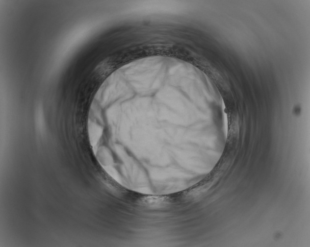 X0000116670526201001111313