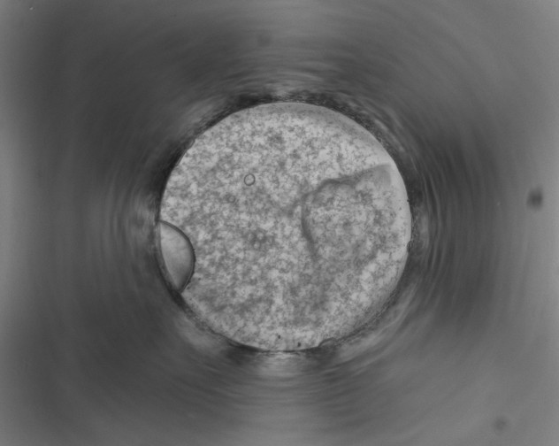 X0000116670527201001111313