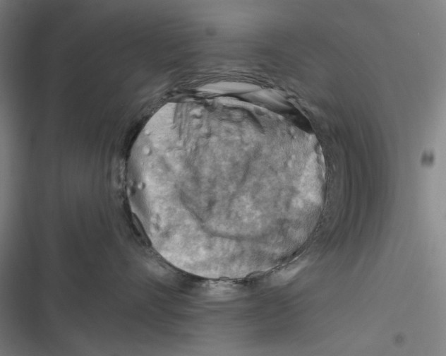 X0000116670528201001111313