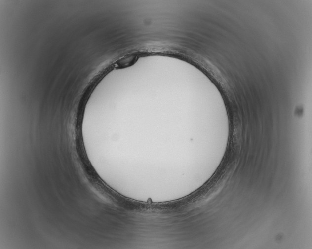 X0000116670530201001111313