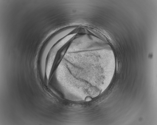 X0000116670531201001111313