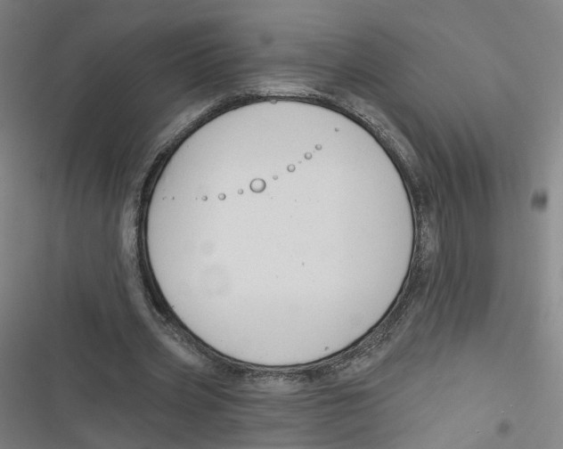 X0000116670533201001111313