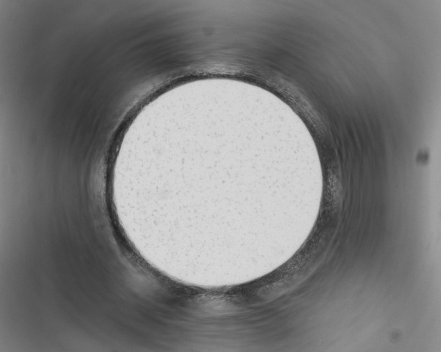 X0000116670534201001111313