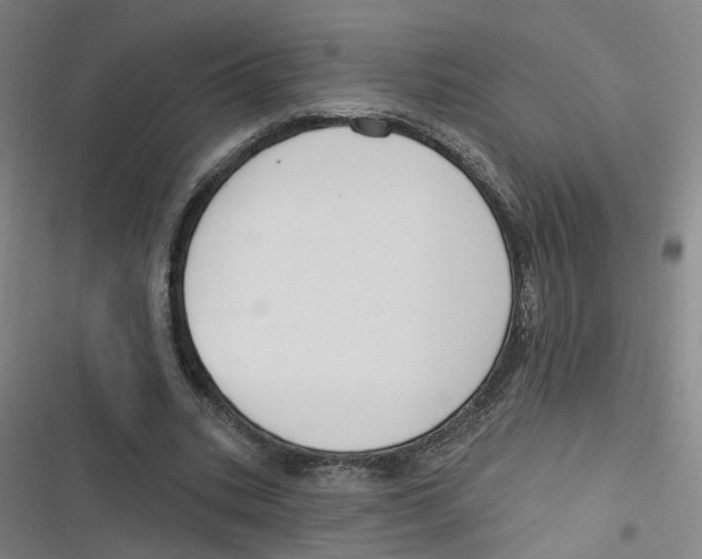 X0000116670535201001111313