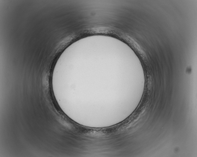 X0000116670537201001111313