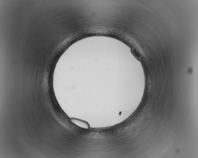 X0000116670538201001111313