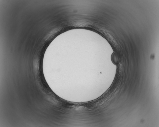 X0000116670539201001111313