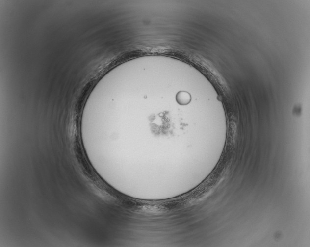 X0000116670541201001111313