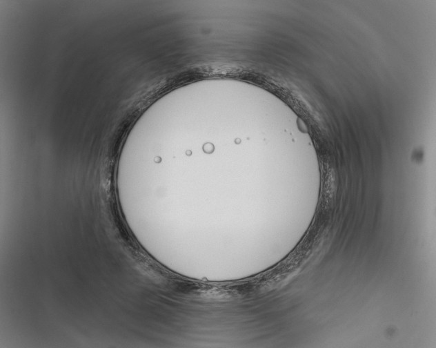 X0000116670545201001111313