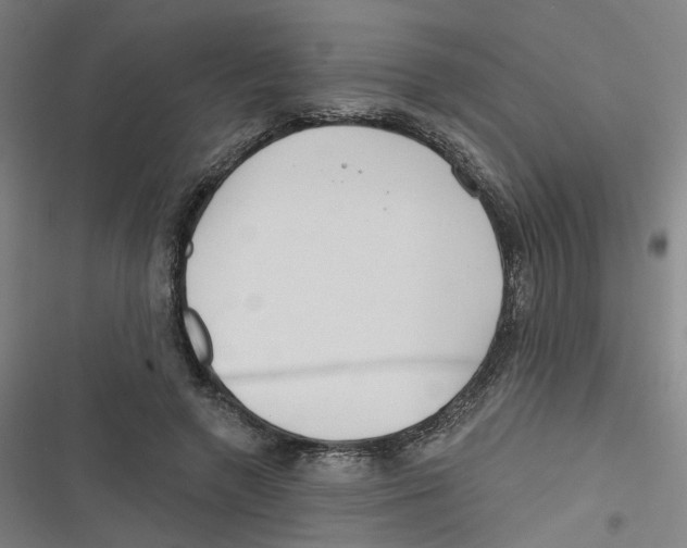 X0000116670546201001111313