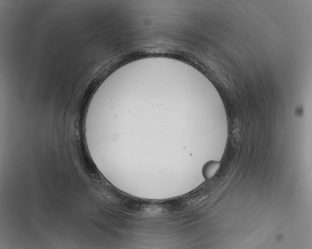 X0000116670547201001111313