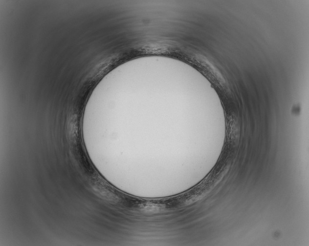 X0000116670549201001111313