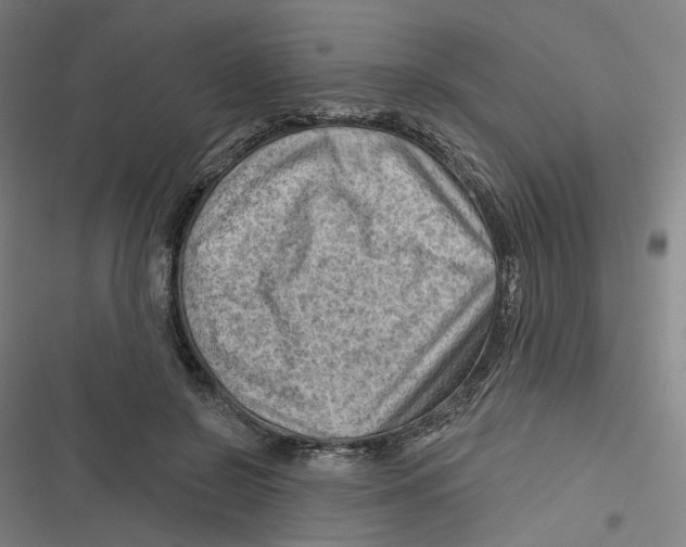 X0000116670550201001111313