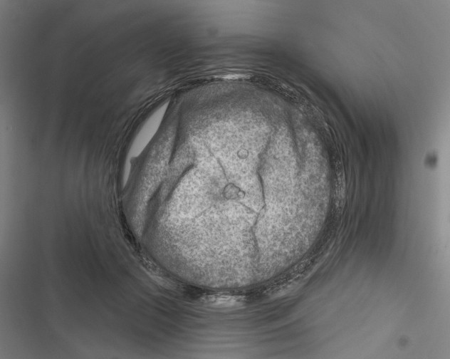 X0000116670553201001111313