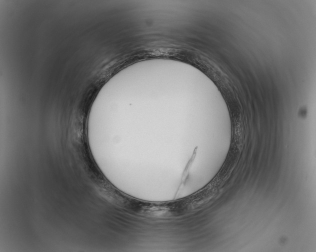 X0000116670554201001111313