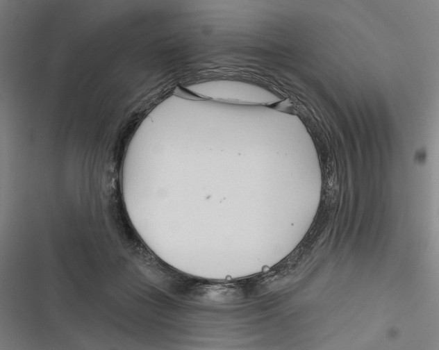 X0000116670555201001111313