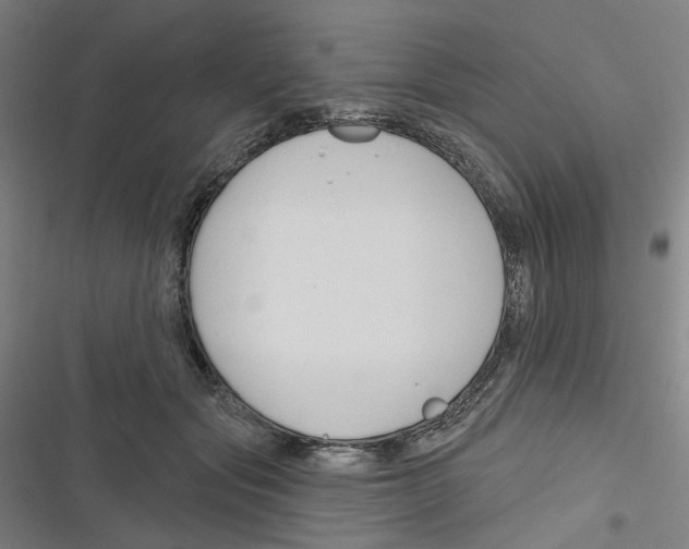 X0000116670557201001111313