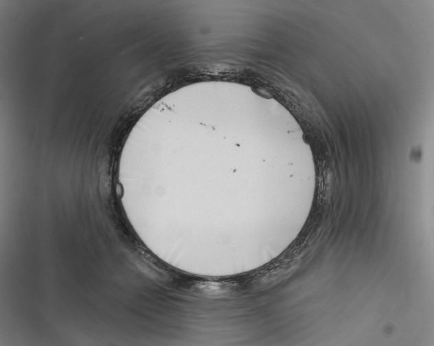 X0000116670558201001111313