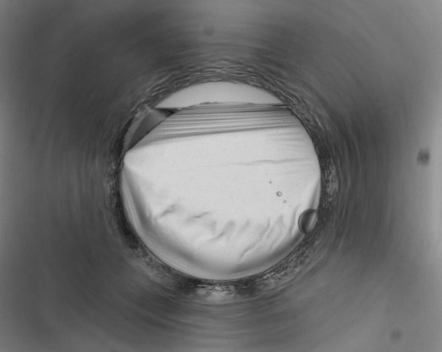 X0000116670559201001111313