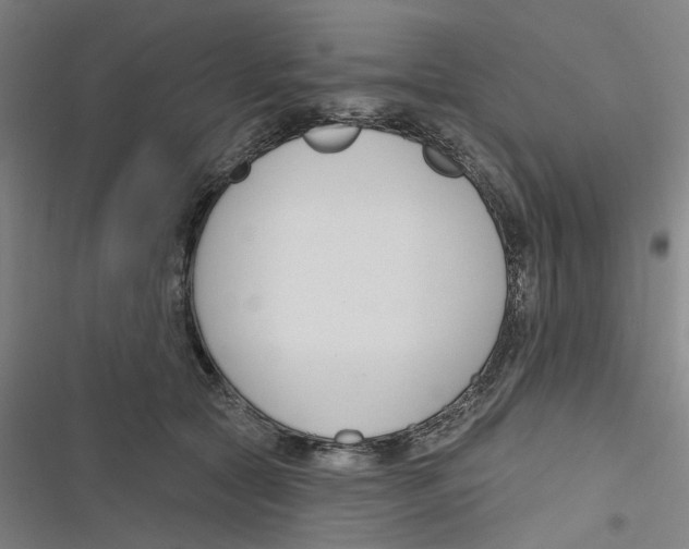 X0000116670561201001111313