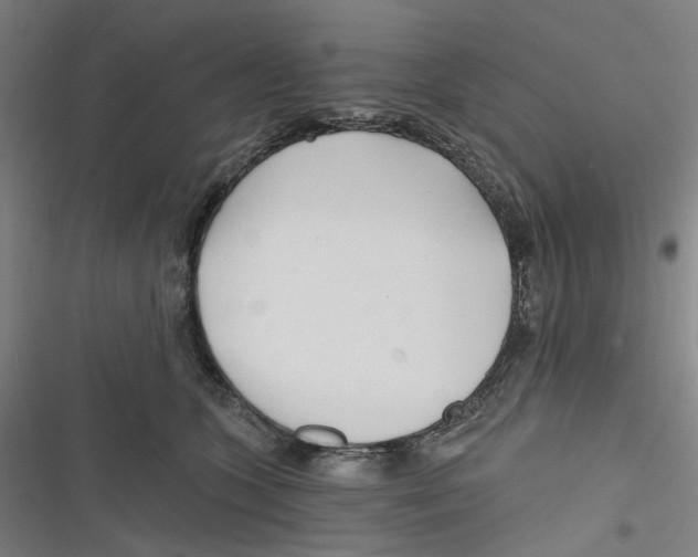 X0000116670563201001111313