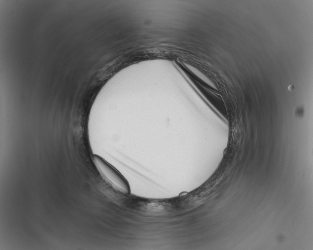 X0000116670566201001111313