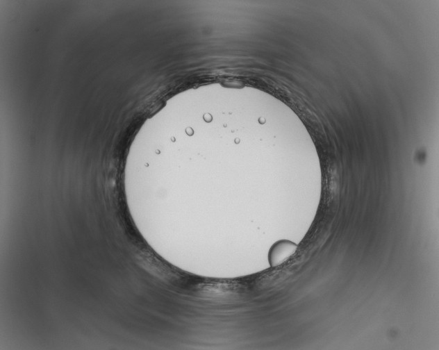 X0000116670567201001111313