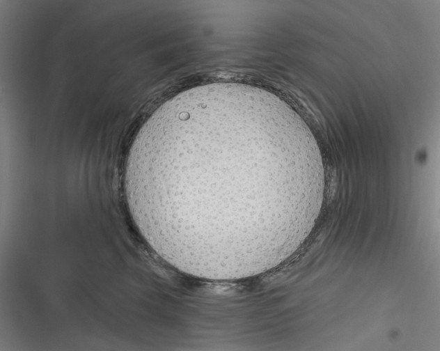 X0000116670569201001111313