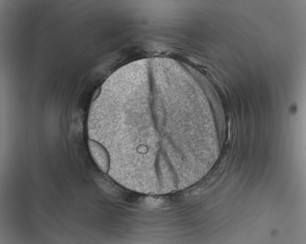 X0000116670570201001111313