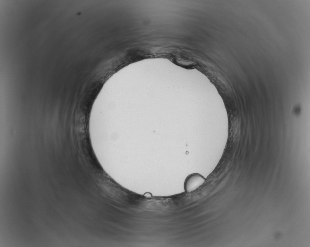 X0000116670571201001111313