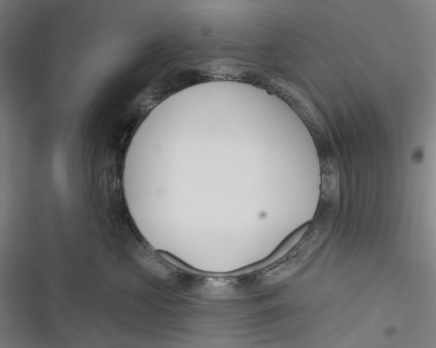 X0000116670573201001111313