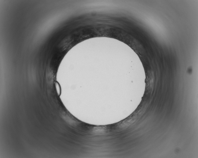 X0000116670574201001111313